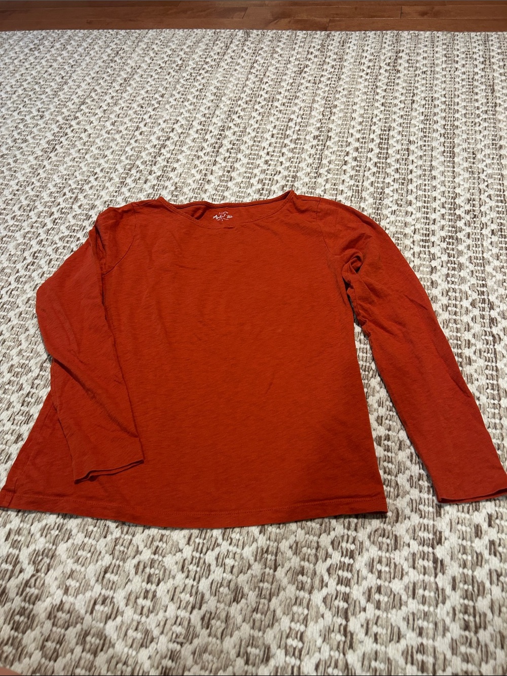 J. Crew women’s Long-Sleeve Artist Tee Top in Rust Orange